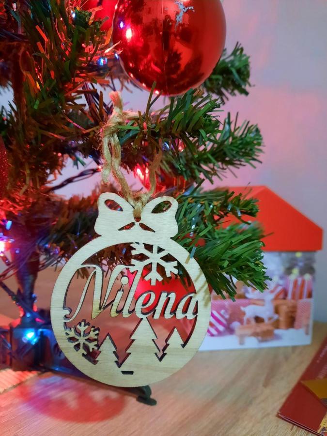 Nilena Apartmani Смедерево Экстерьер фото